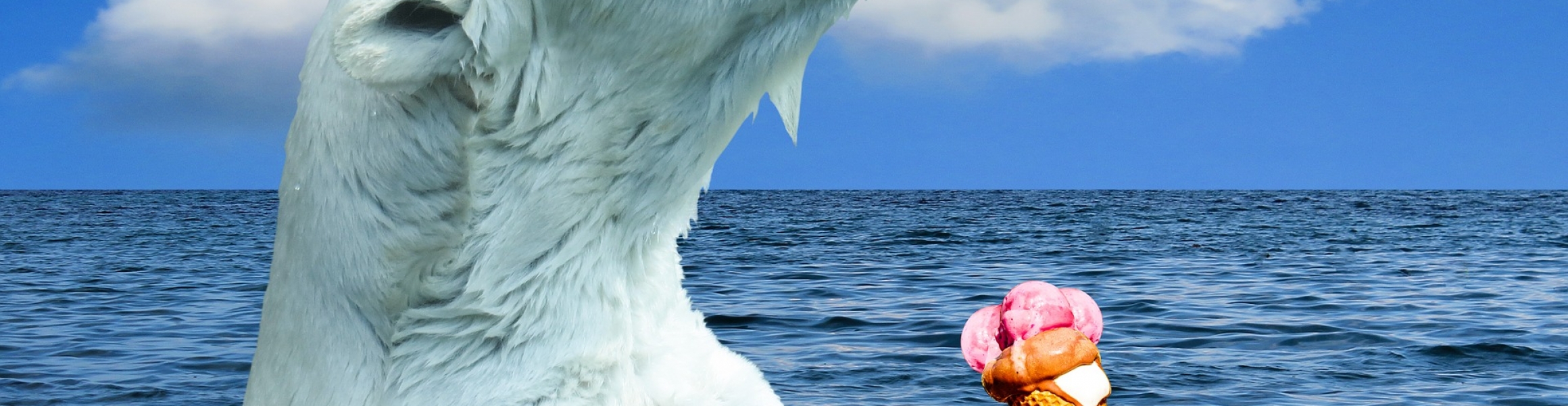 How Do Animals Keep Cool? The Center for Hyperhidrosis